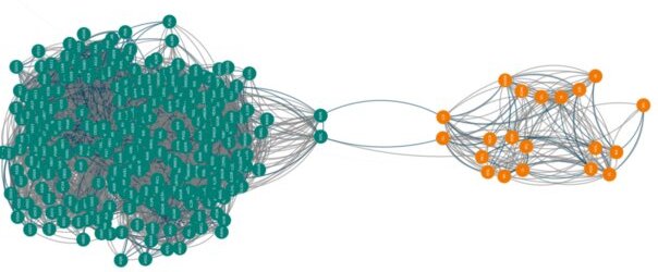 Picture showing neural network of C. elegans