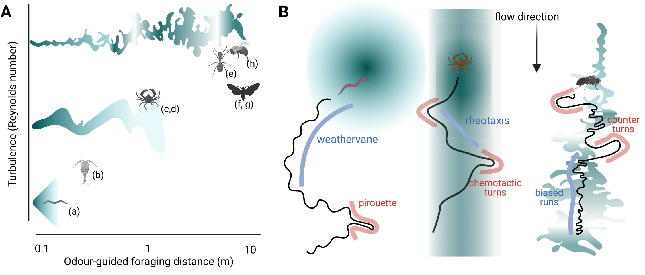 Graphical abstract for paper