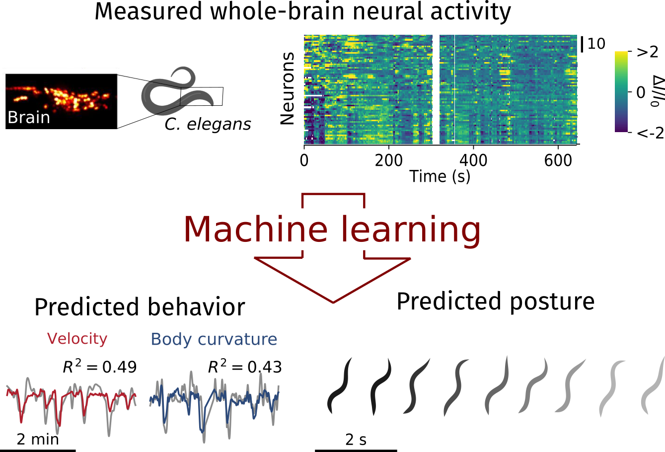 Graphical abstract for paper