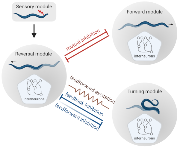 Graphical abstract for paper