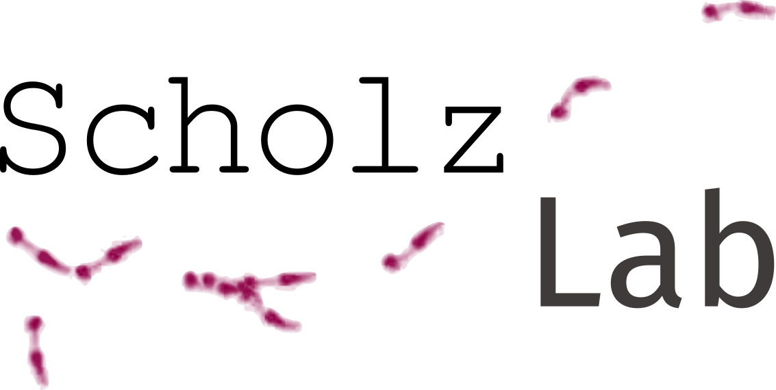 Lab logo